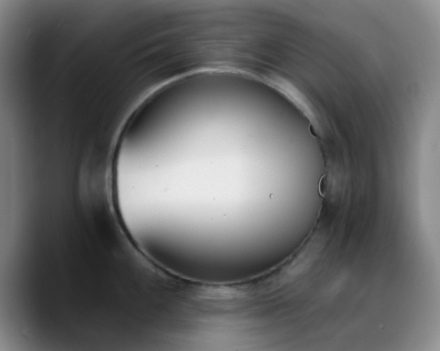 X0000090741100200707201424