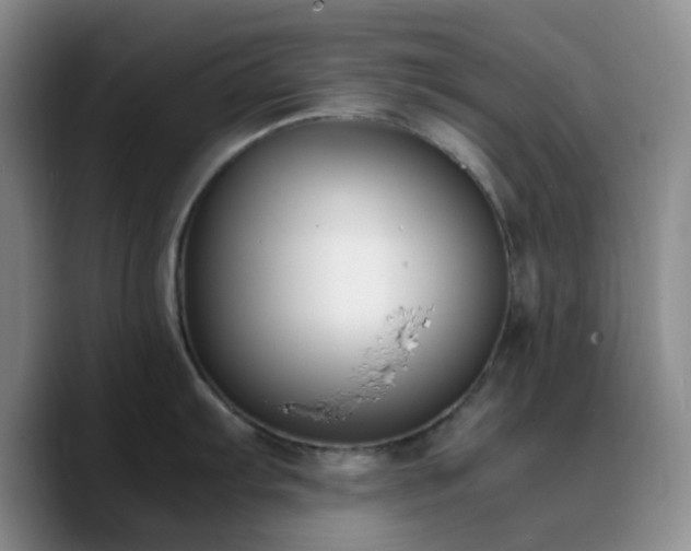 X0000090741103200707201424