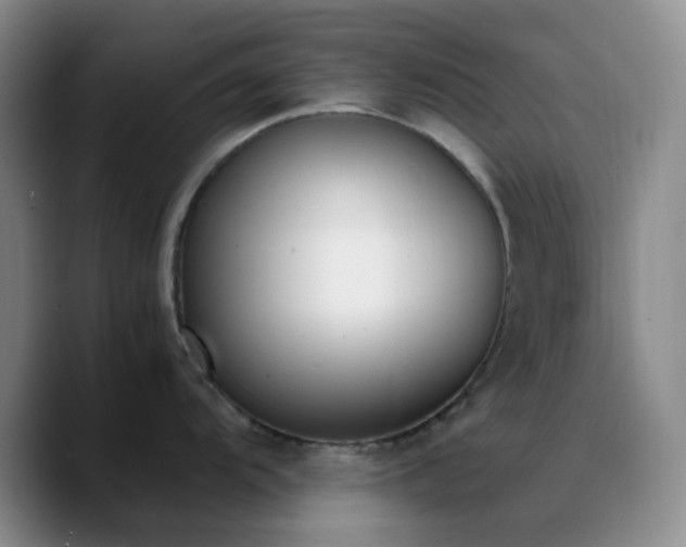 X0000090741104200707201424
