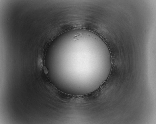 X0000090741106200707201423