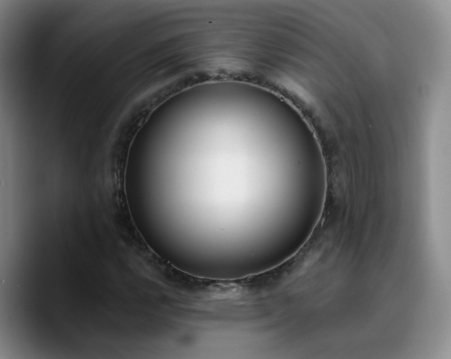 X0000090741112200707201423