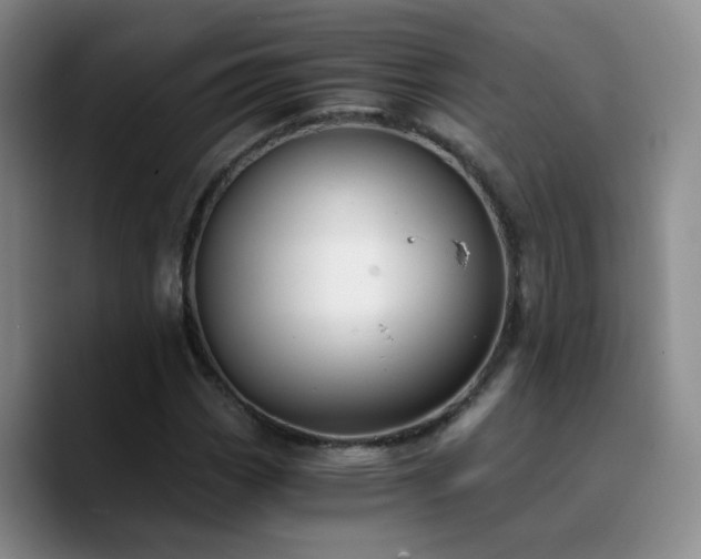 X0000090741113200707201423