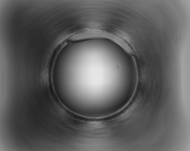 X0000090741114200707201423