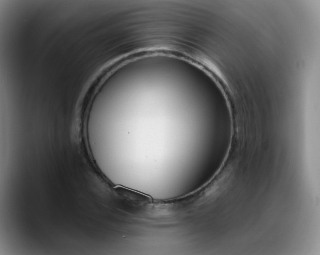 X0000090741116200707201423