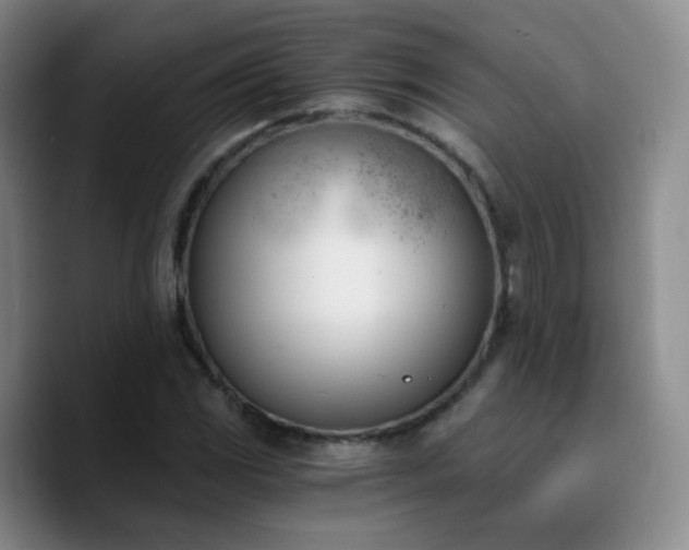 X0000090741117200707201423