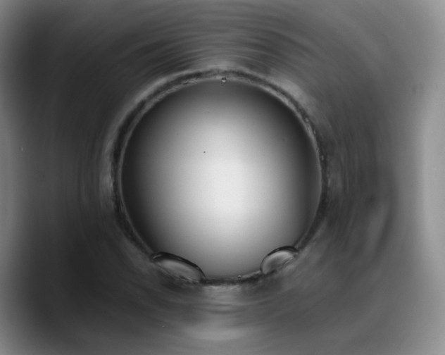 X0000090741118200707201423