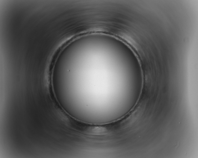 X0000090741119200707201423