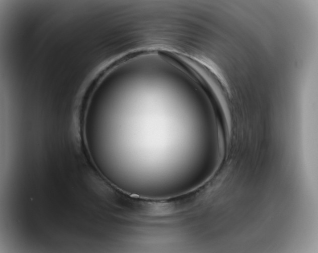 X0000090741120200707201423