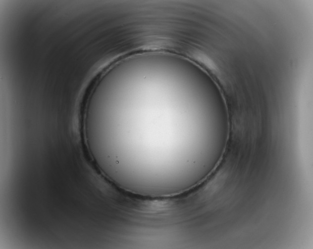 X0000090741122200707201423