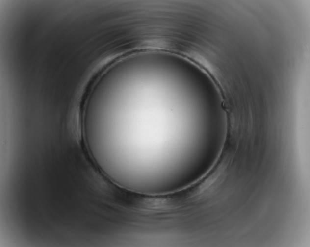 X0000090741123200707201423