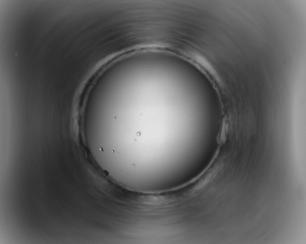 X0000090741124200707201423