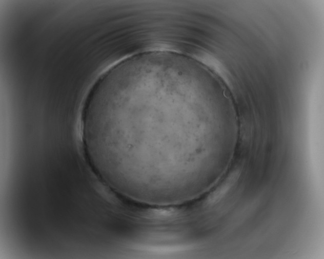 X0000090741125200707201423