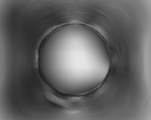 X0000090741126200707201423