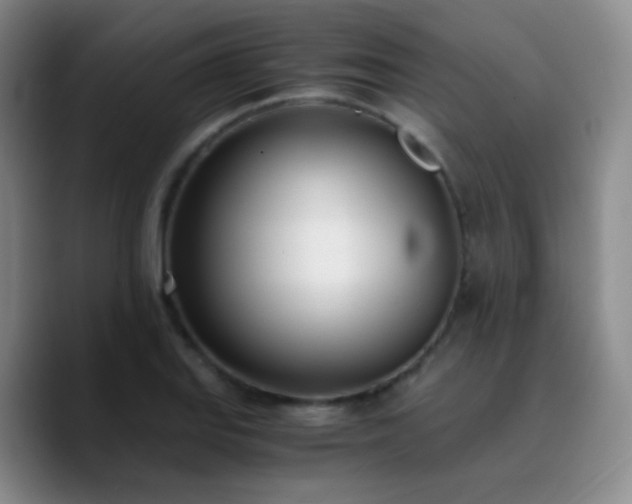 X0000090741127200707201423