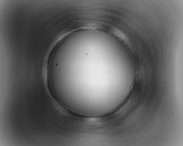 X0000090741130200707201423