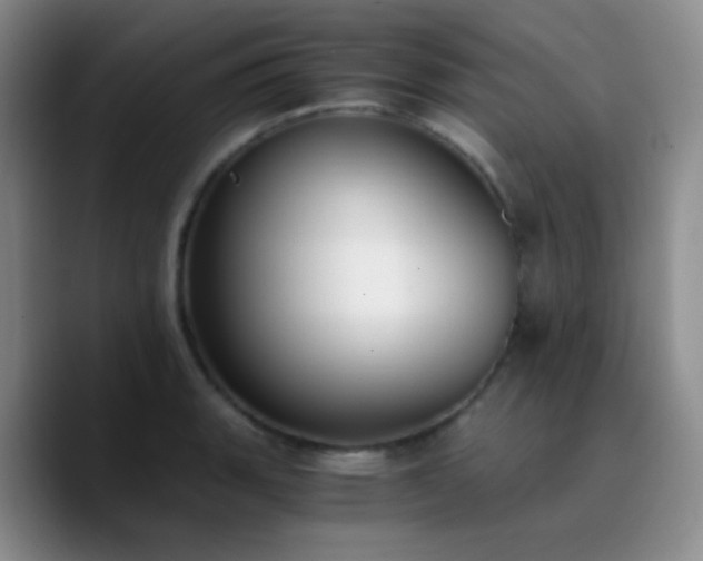X0000090741135200707201424