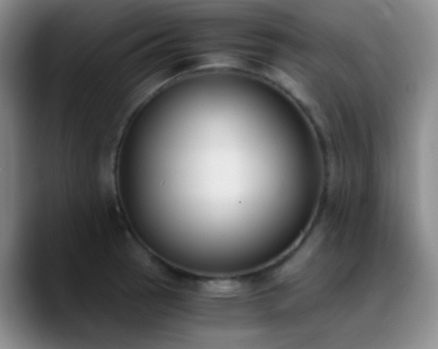 X0000090741137200707201424