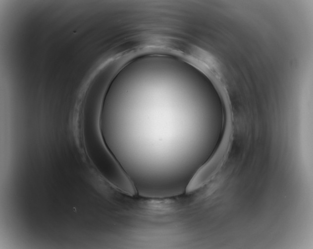 X0000090741138200707201424