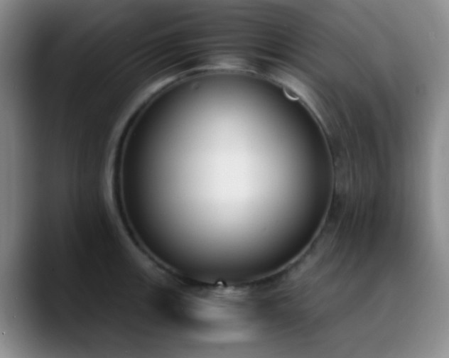 X0000090741139200707201424