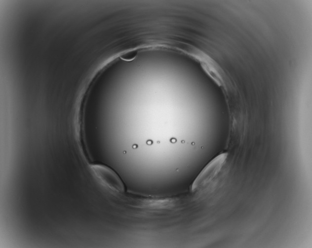 X0000090741143200707201424