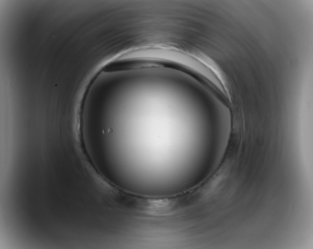 X0000090741144200707201424