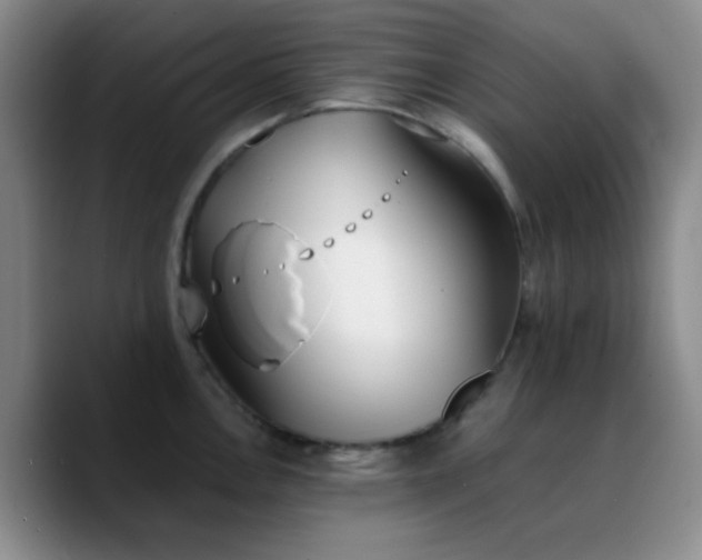 X0000090741146200707201424