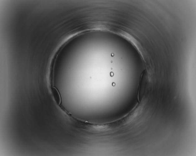 X0000090741147200707201424
