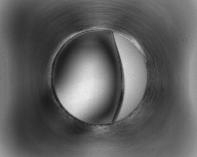 X0000090741148200707201424
