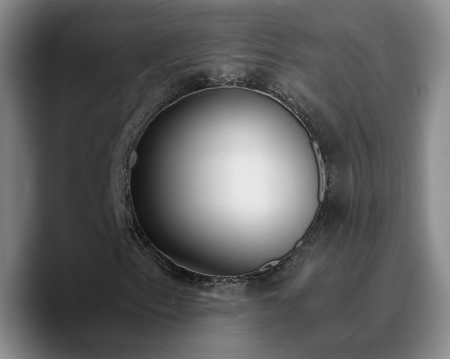 X0000090741153200707201423