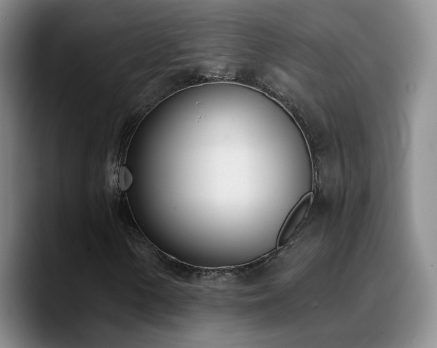 X0000090741154200707201423