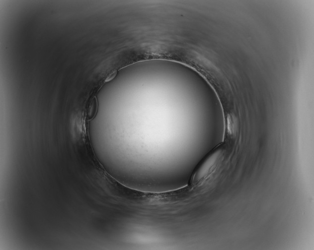 X0000090741155200707201423
