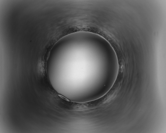 X0000090741156200707201423