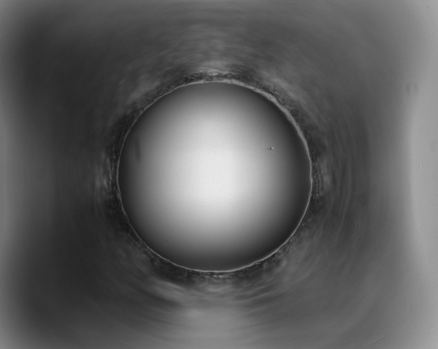 X0000090741158200707201423