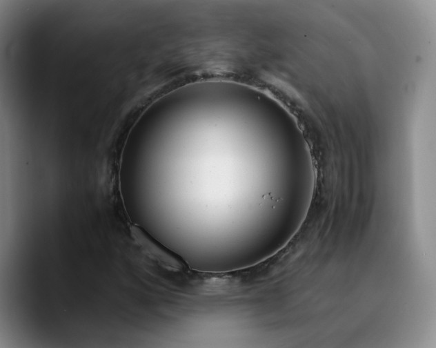 X0000090741160200707201423