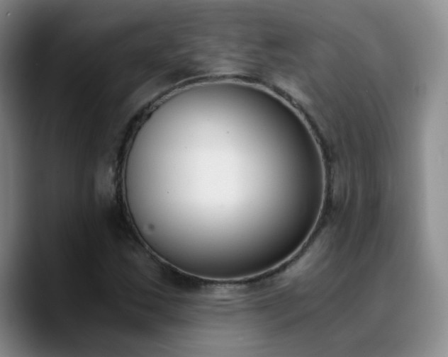 X0000090741163200707201423
