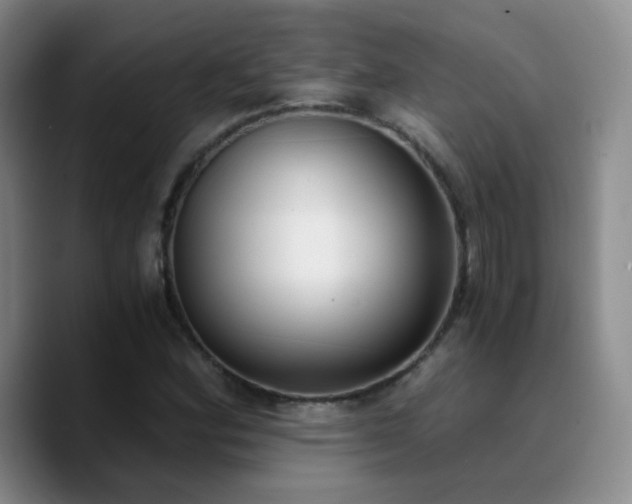 X0000090741164200707201423