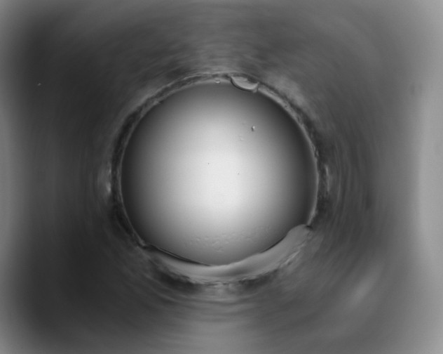 X0000090741165200707201423