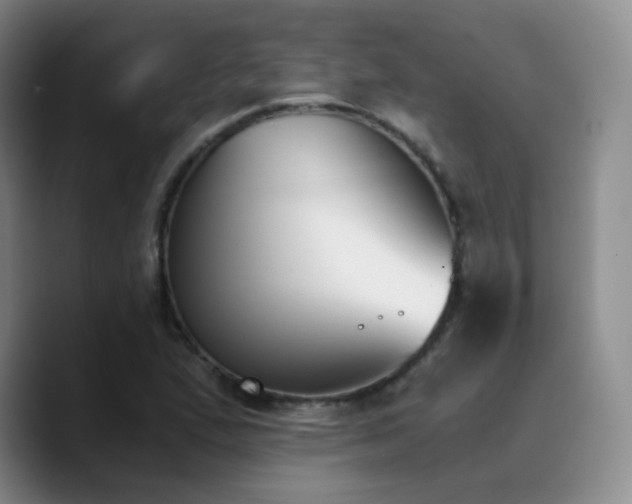 X0000090741167200707201423