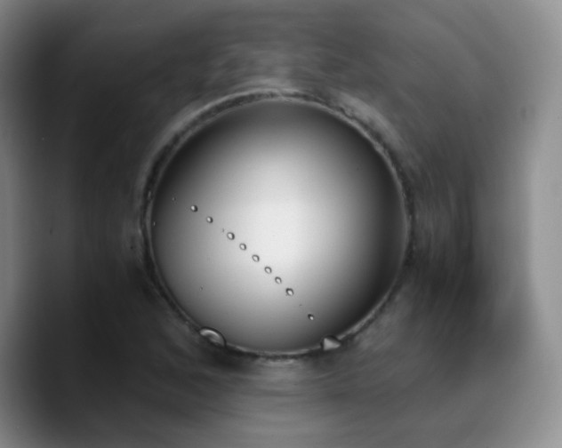 X0000090741168200707201423