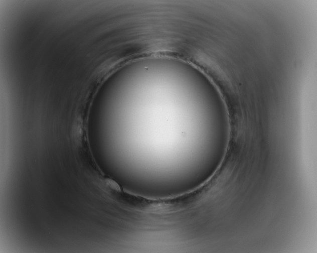 X0000090741169200707201423