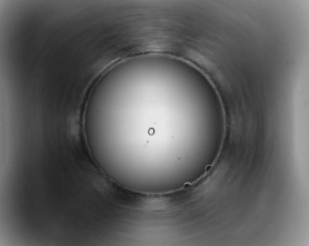 X0000090741170200707201423