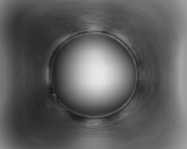 X0000090741171200707201423
