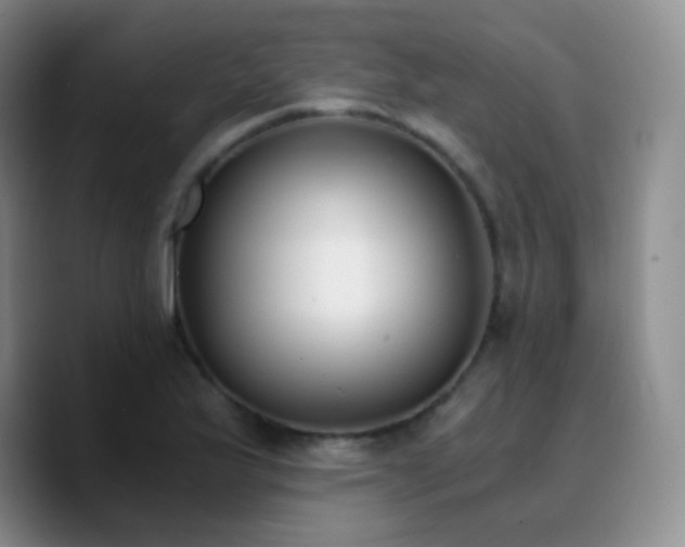X0000090741175200707201423