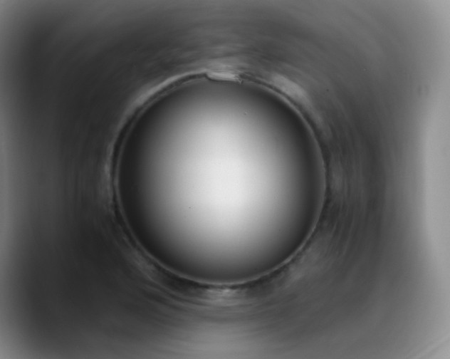 X0000090741176200707201423