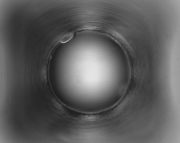 X0000090741177200707201423