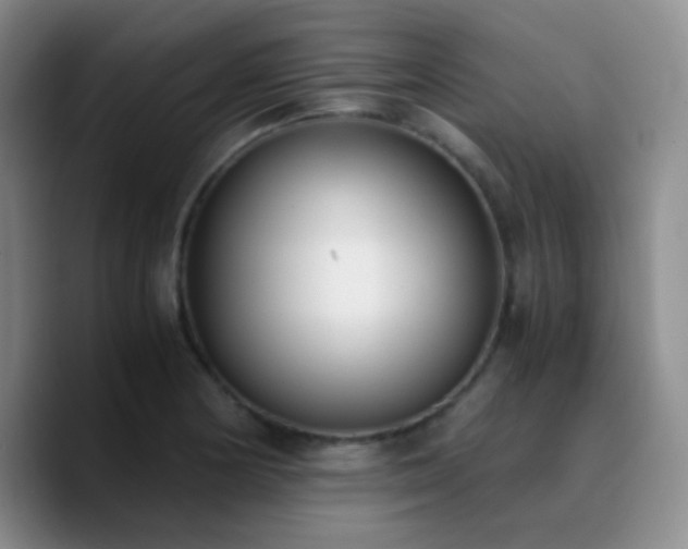 X0000090741178200707201423
