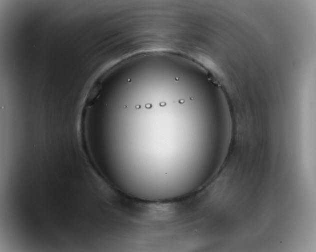 X0000090741181200707201423