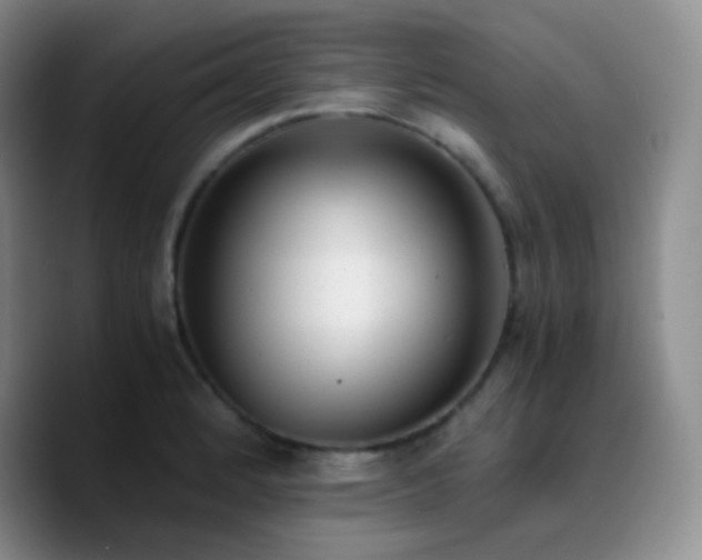 X0000090741184200707201423