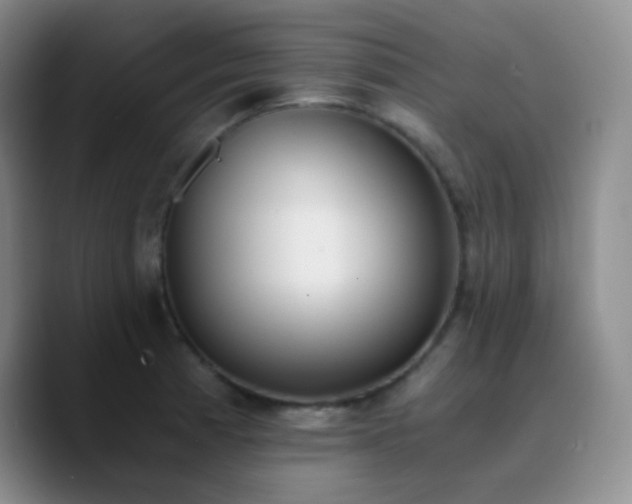 X0000090741185200707201423