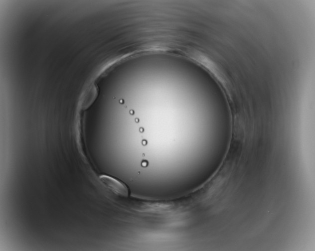 X0000090741187200707201423